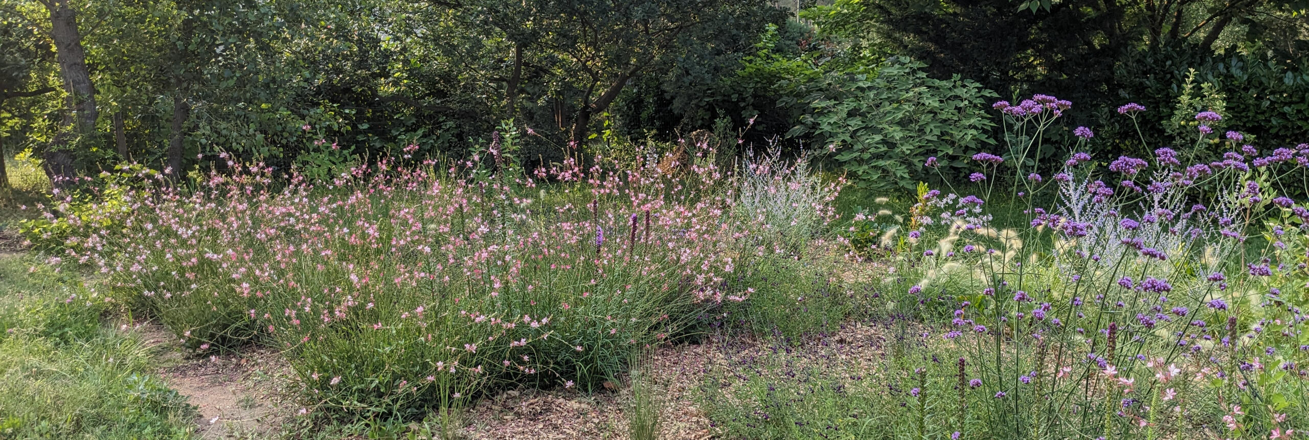 Jardin en Ardèche